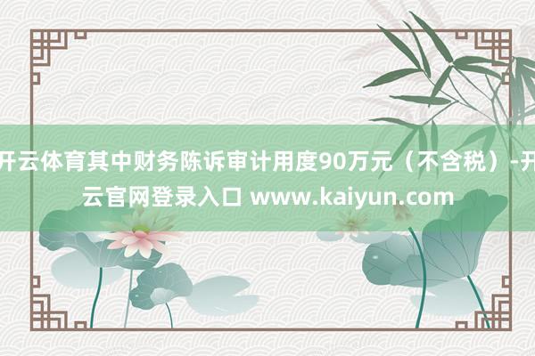 开云体育其中财务陈诉审计用度90万元（不含税）-开云官网登录入口 www.kaiyun.com
