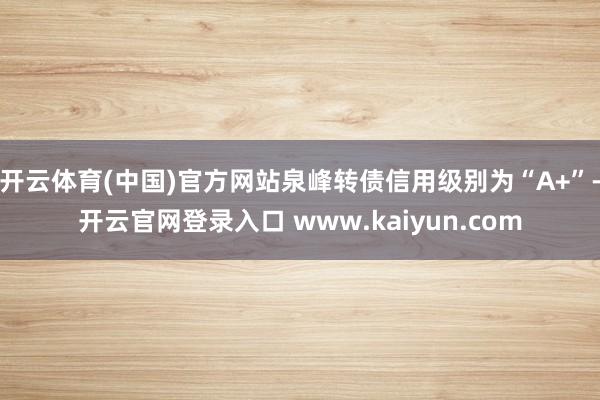 开云体育(中国)官方网站泉峰转债信用级别为“A+”-开云官网登录入口 www.kaiyun.com