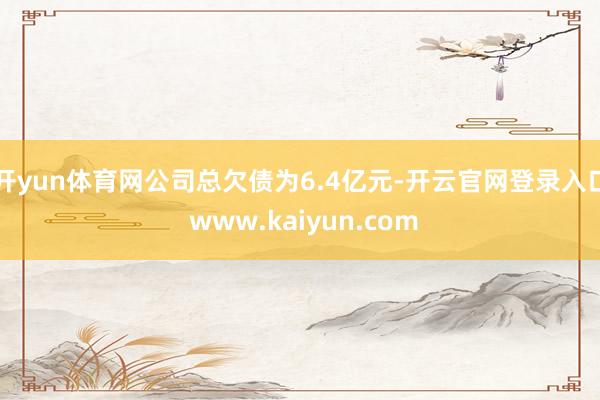 开yun体育网　　公司总欠债为6.4亿元-开云官网登录入口 www.kaiyun.com