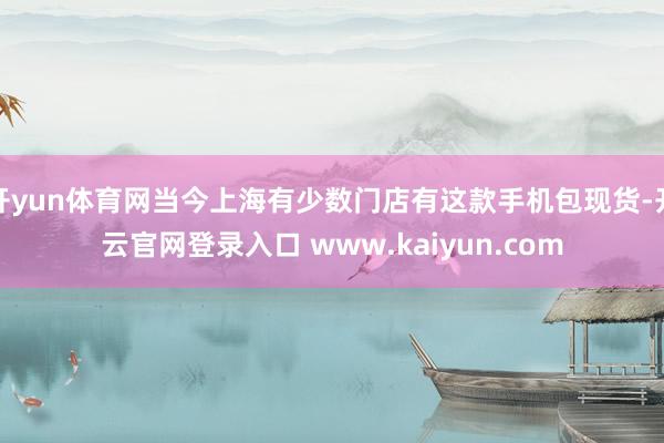 开yun体育网当今上海有少数门店有这款手机包现货-开云官网登录入口 www.kaiyun.com