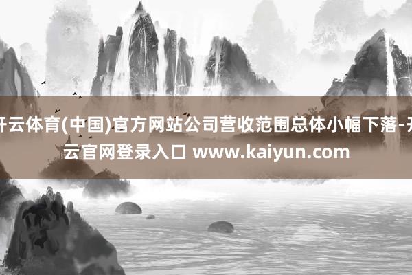 开云体育(中国)官方网站公司营收范围总体小幅下落-开云官网登录入口 www.kaiyun.com